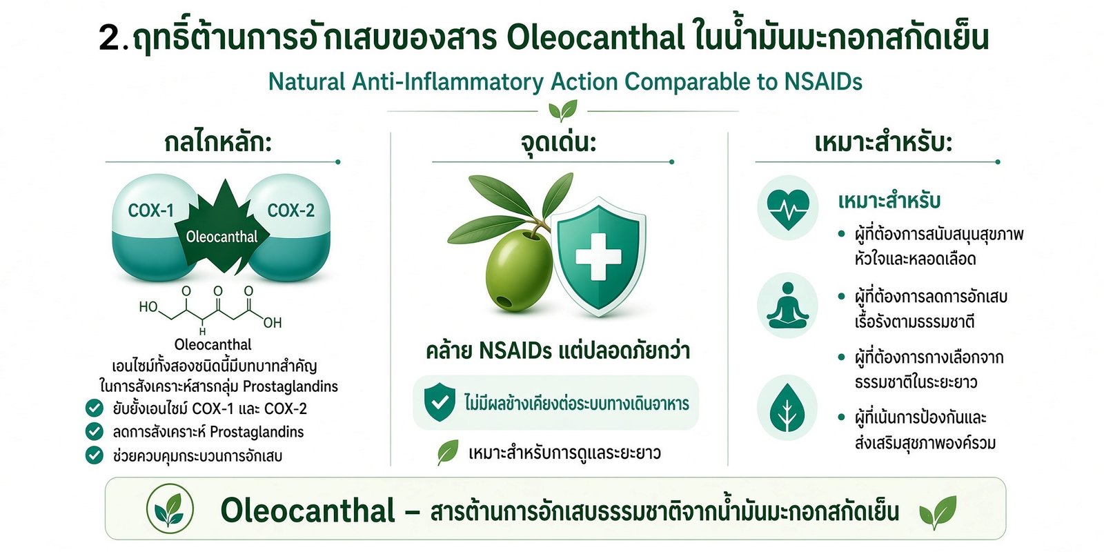 น้ำมันมะกอก ฤทธิ์ต้านการอักเสบ